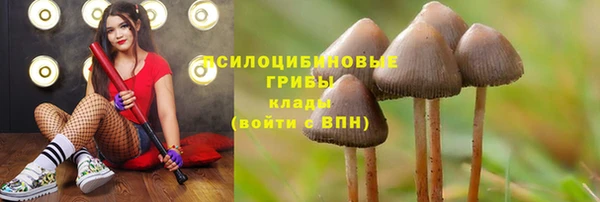 jwh Беломорск