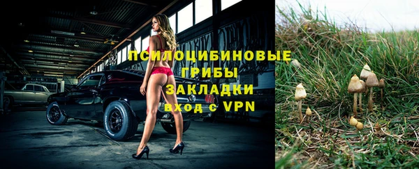 spice Белокуриха