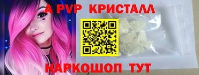 спиды Сланцы