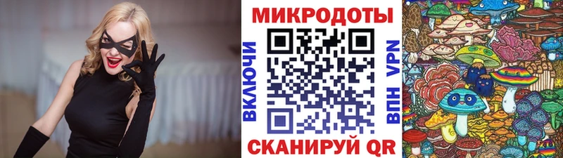 Псилоцибиновые грибы Psilocybine cubensis  где можно купить   Сланцы 