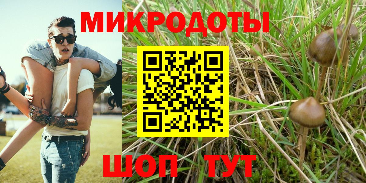 Псилоцибиновые грибы Cubensis Сланцы