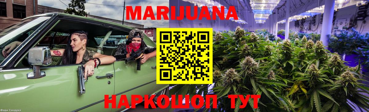 Каннабис SATIVA & INDICA Сланцы